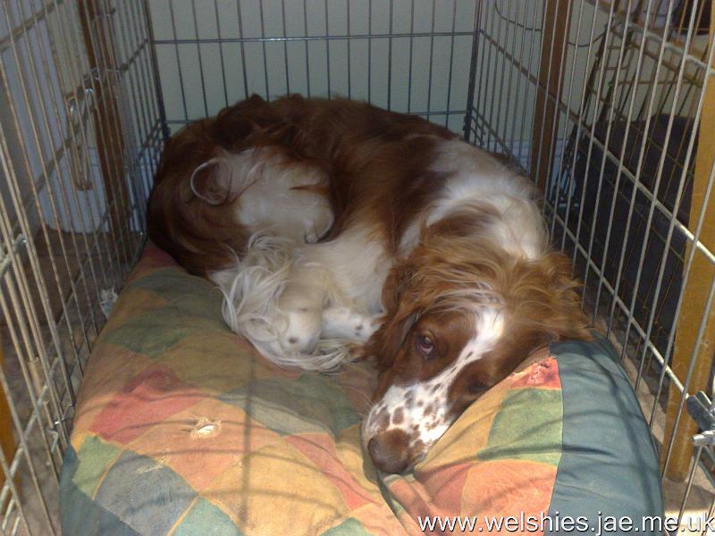 2010-08-29 06.jpg - Hal just about fits!